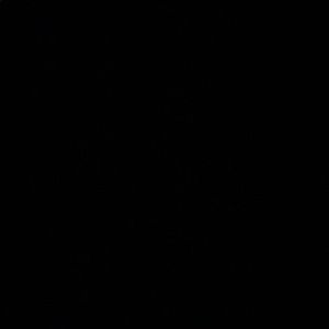 Meet your Posher, Deema